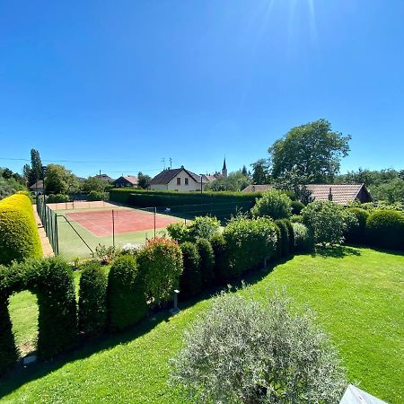 "Ma Vie La" Alsace Bed & Breakfast Kingersheim Exterior photo